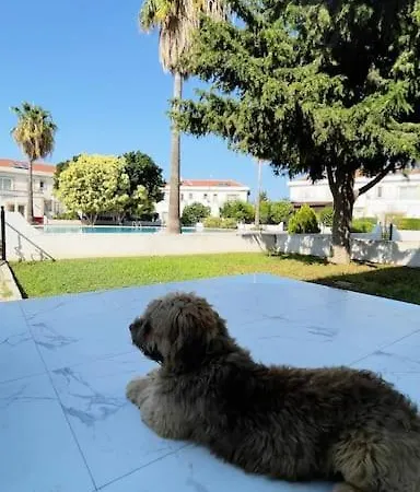 Tropical Cyprus With Swimming Pool