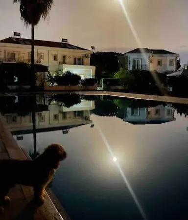 Tropical Cyprus With Swimming Pool Kyrenia (Northern Cyprus)